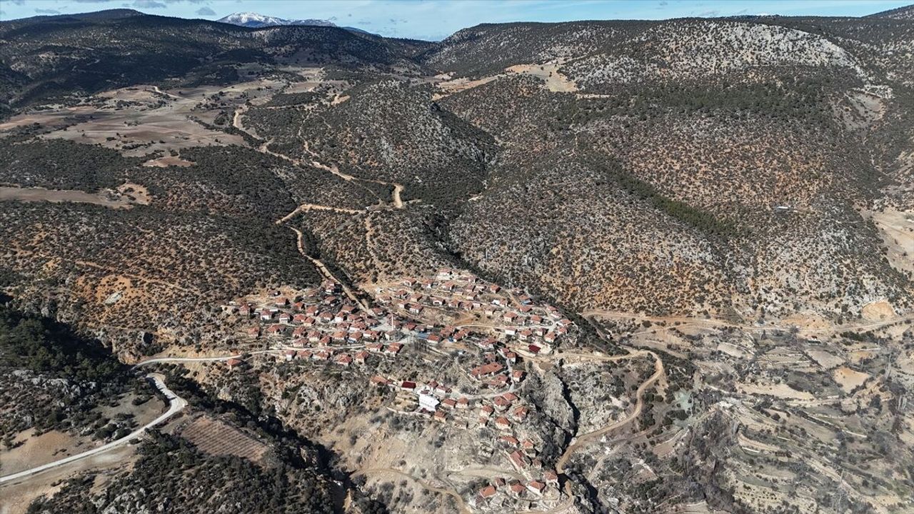Karaman'da 1931 yaşındaki anıt ağaç asırlara meydan okuyor