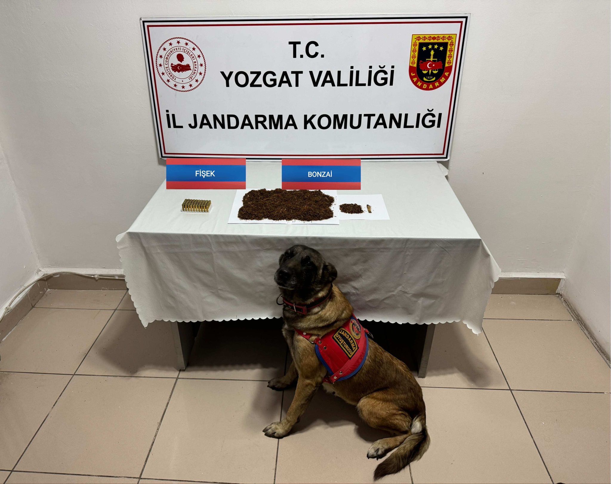 Yozgat'ta uyuşturucu operasyonunda 1 zanlı yakalandı