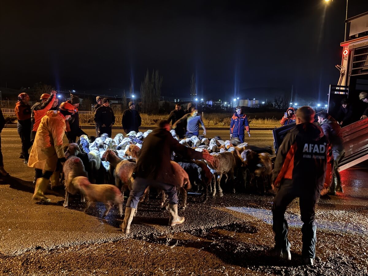 Kayseri'de taşkın riski nedeniyle 200 hayvan tahliye edildi
