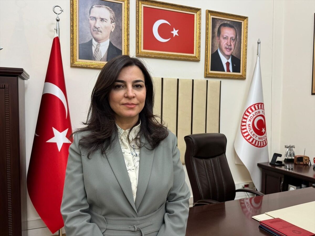 KÜÇÜK YAŞ, BÜYÜK SUÇ - TBMM Suça Sürüklenen Çocuklara İlişkin Araştırma Komisyonu Başkanı Durgut, yol haritalarını AA'ya anlattı: