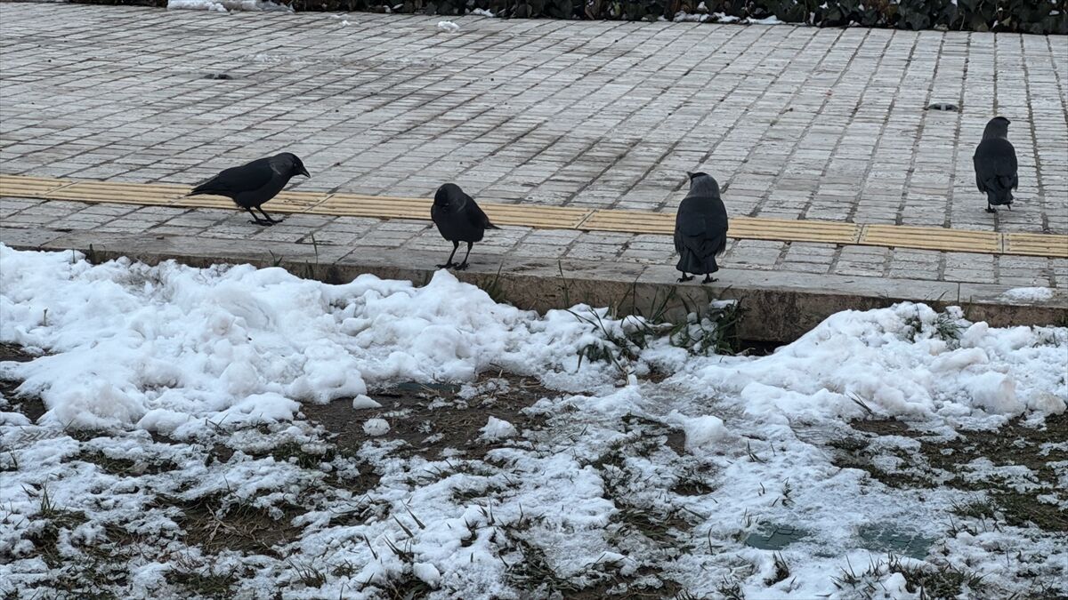 Trakya'da soğuk hava etkili oluyor
