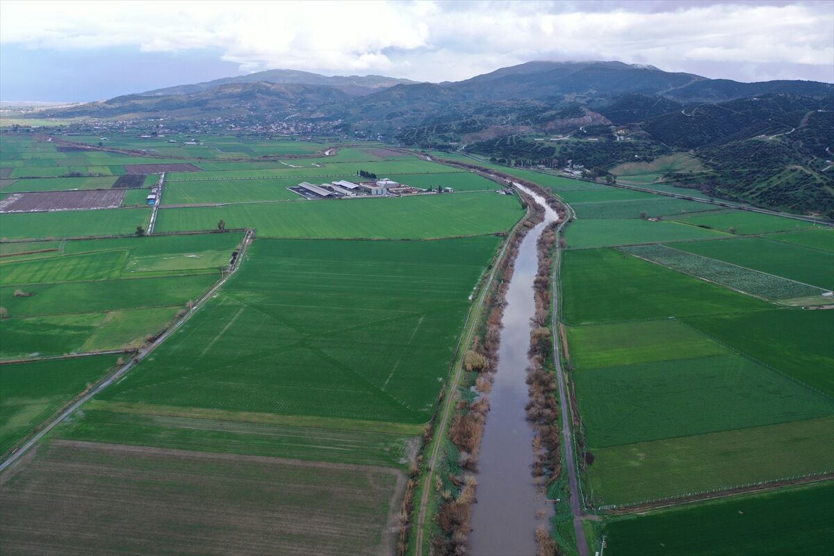 Büyük Menderes Nehri yağmur sularıyla güçlendi