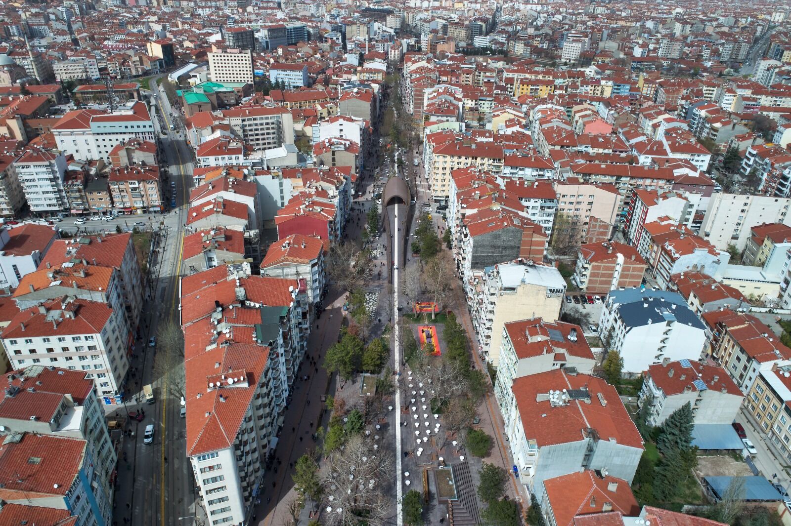 Hamamyolu Caddesi’nde ağaç budama çalışmaları başlıyor
