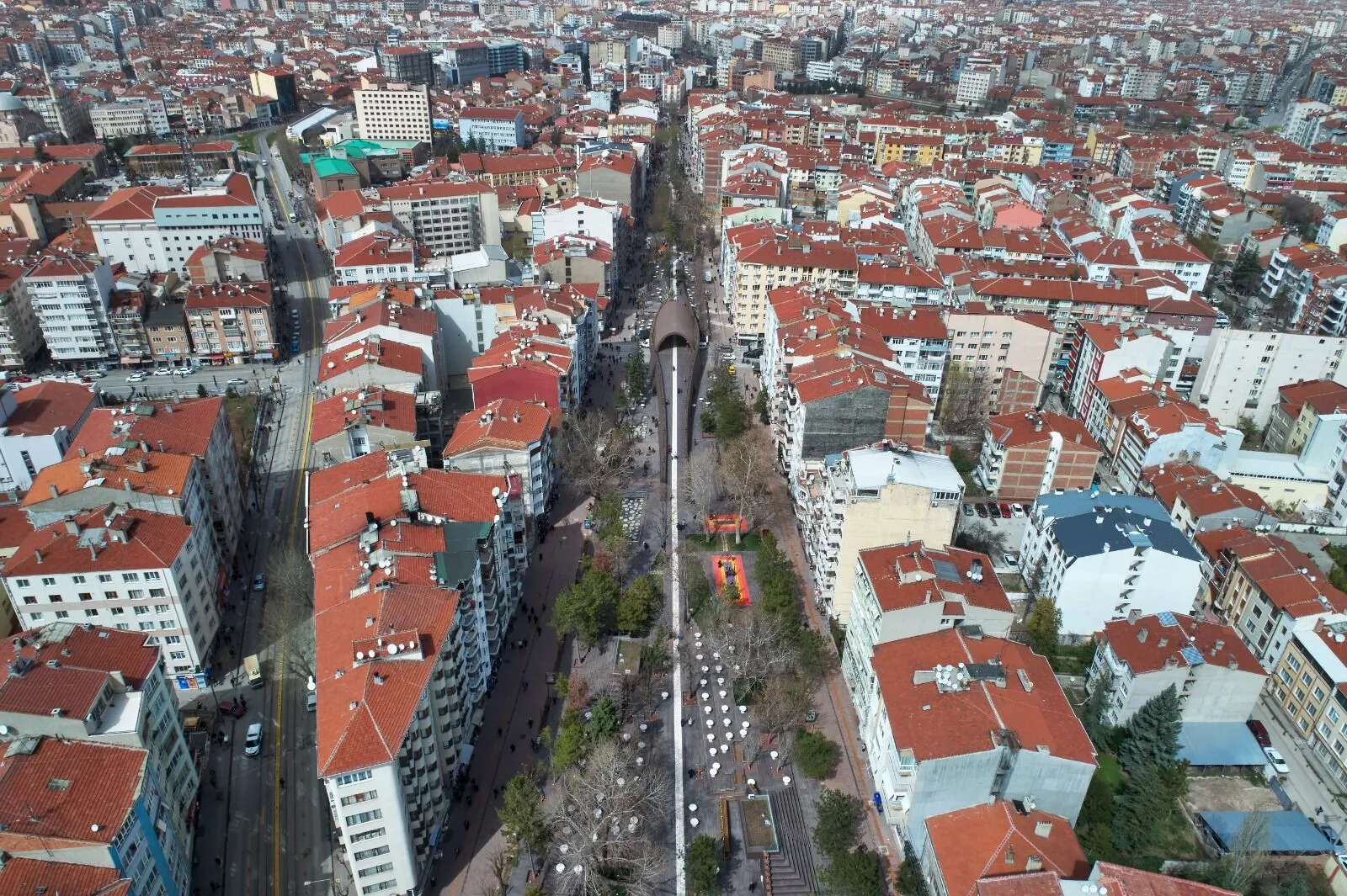 Hamamyolu Caddesi’nde ağaç budama çalışmaları başlıyor