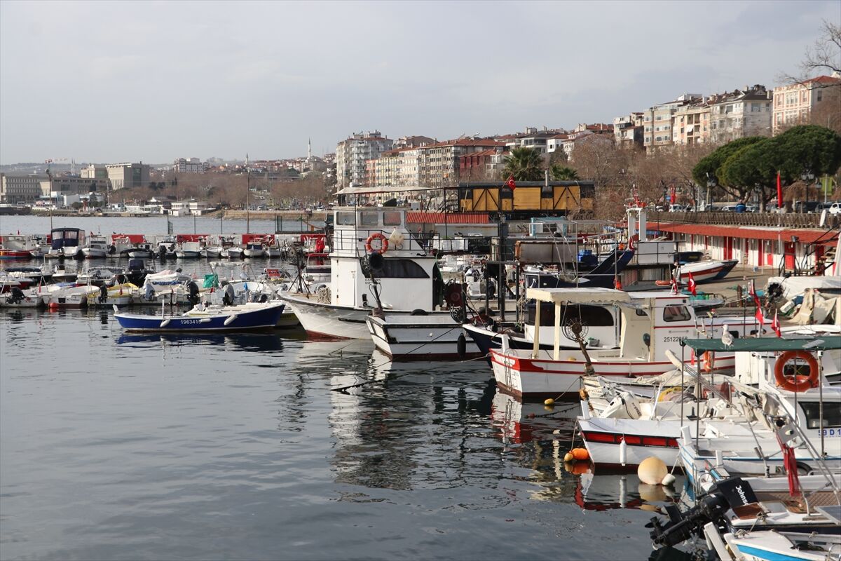 Tekirdağlı balıkçılar torik için denize açılıyor