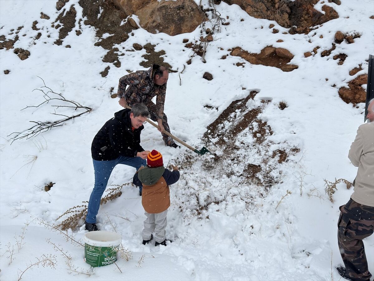 Erzincan'da yabani hayvanlar için karla kaplı arazilere yem bırakıldı
