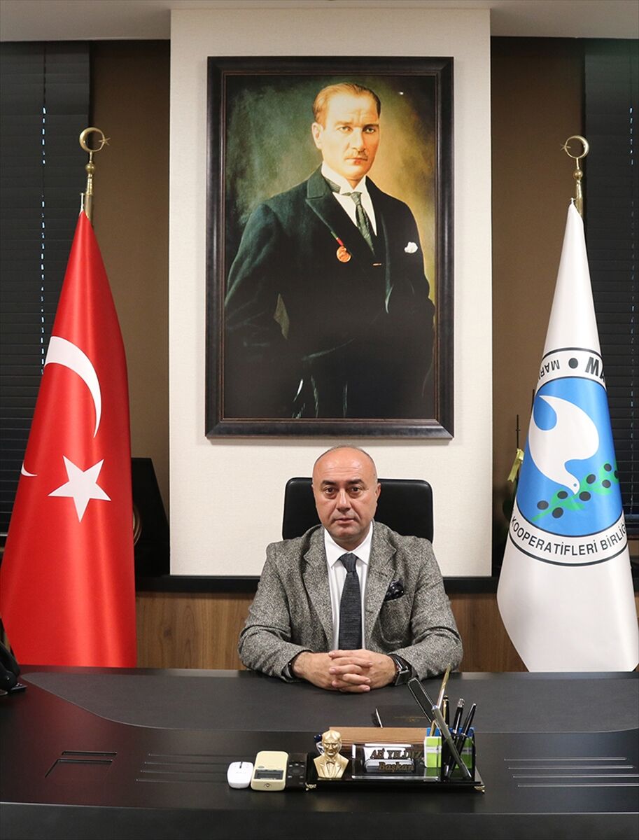 Marmarabirlik üreticilere 860 milyon liralık ödeme yapacak