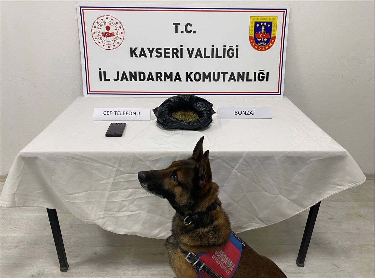 Kayseri'de uyuşturucu operasyonunda 1 şüpheli yakalandı