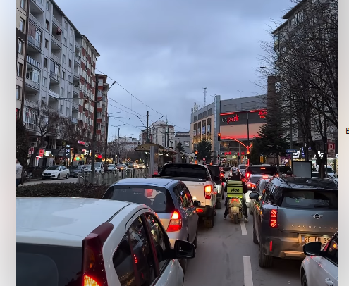 Eskişehir’in trafik çilesine “bitkisel” çözüm! AK Parti Gençlik Kolları’ndan esprili eylem!