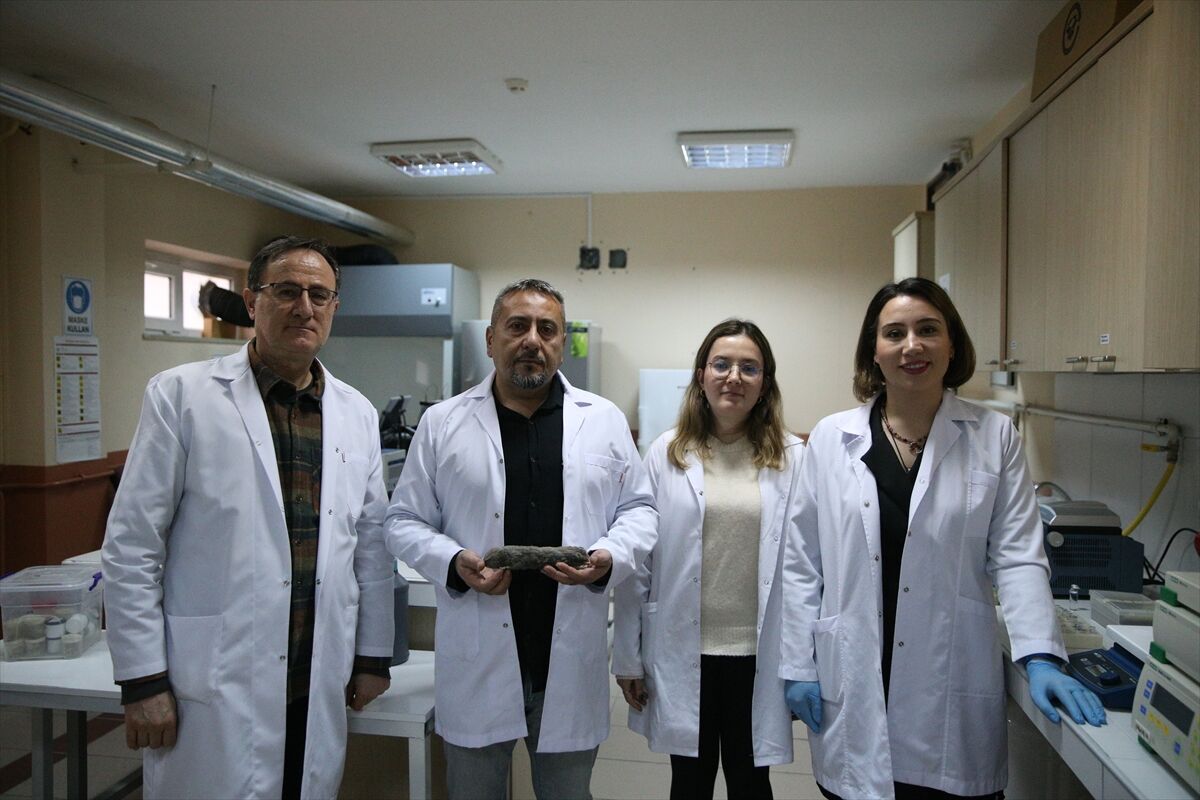 Türkiye'de kör köstebeğin 3 yeni türü keşfedildi