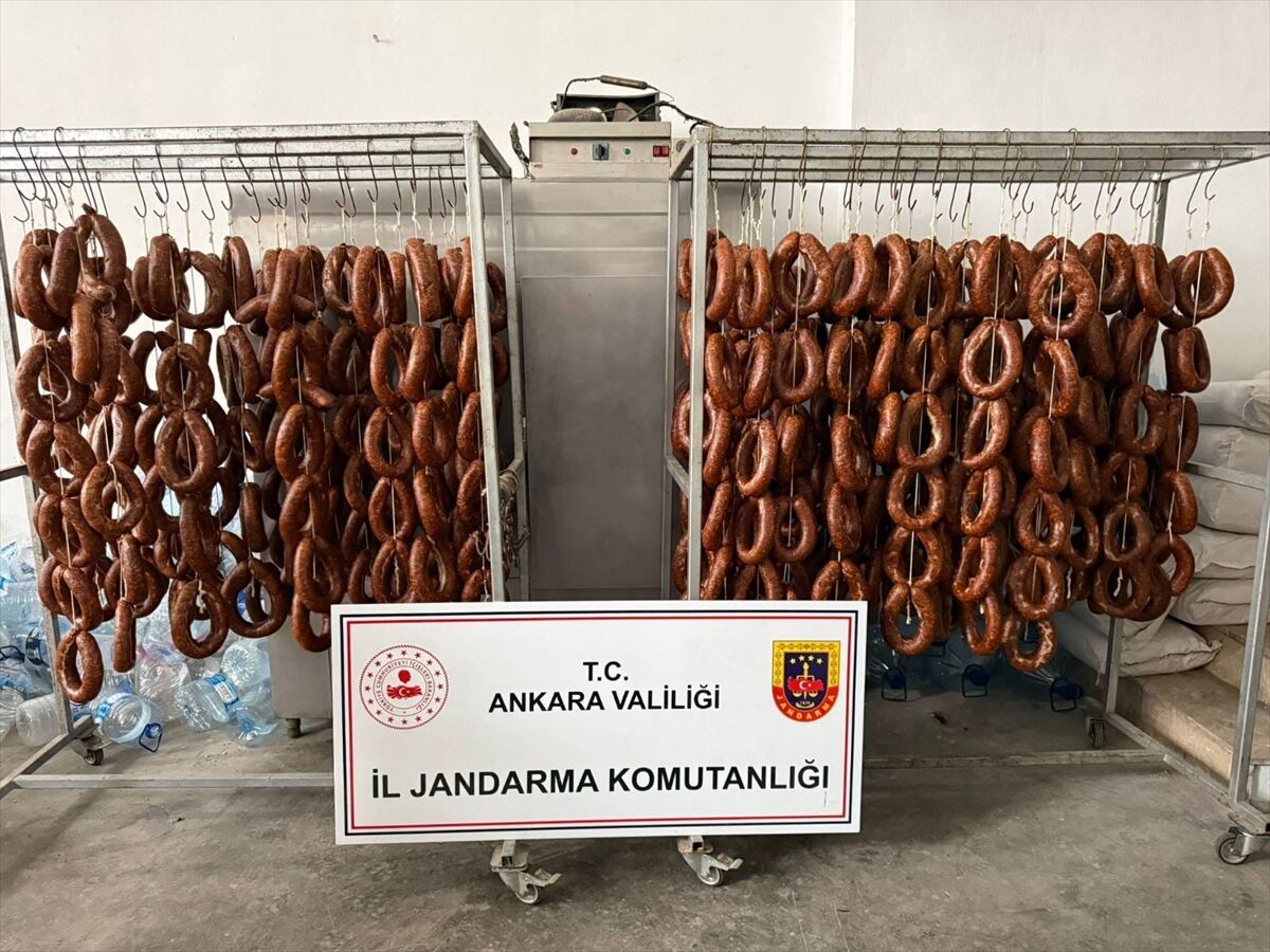 Başkentte 11 bin 400 kilogram sahte et ve gıda ele geçirildi