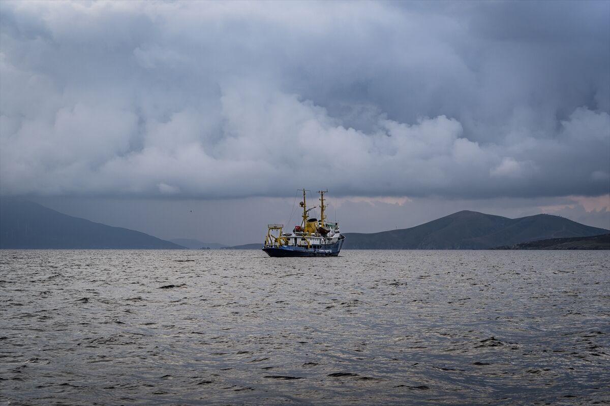 Marmara'nın deniz çayırları yapay zeka destekli sistemle haritalandırılıyor