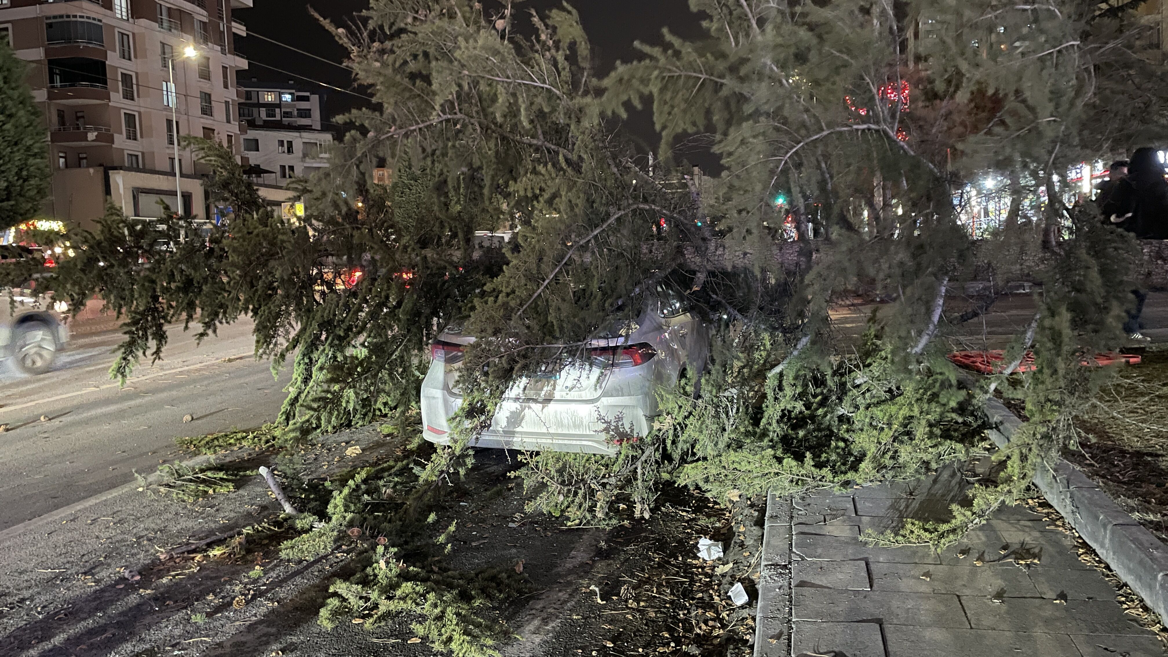 Kayseri'de kuvvetli rüzgarın etkisiyle devrilen ağaç otomobilin üzerine düştü