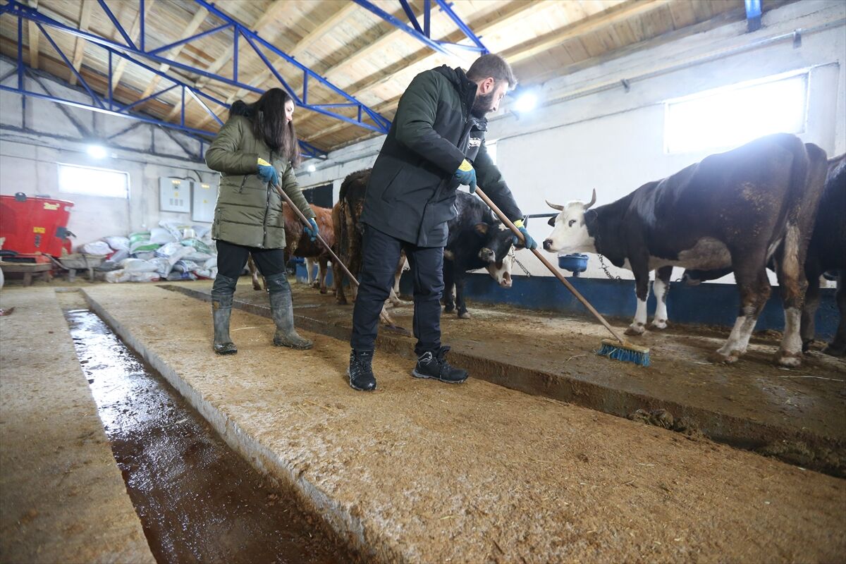 Kars'ta girişimci kadın devlet desteğiyle hayalini gerçekleştirip çiftlik kurdu
