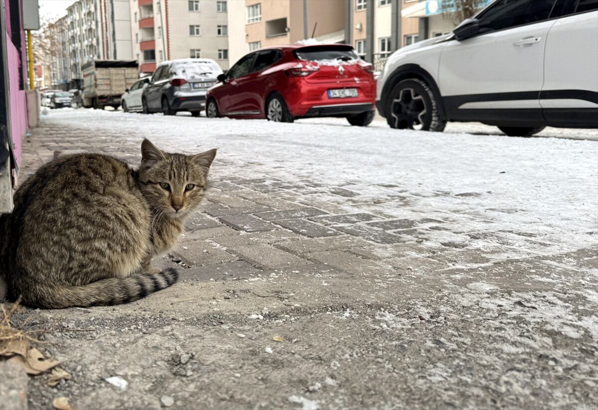Doğu Anadolu'da 5 ilde soğuk hava etkili oluyor