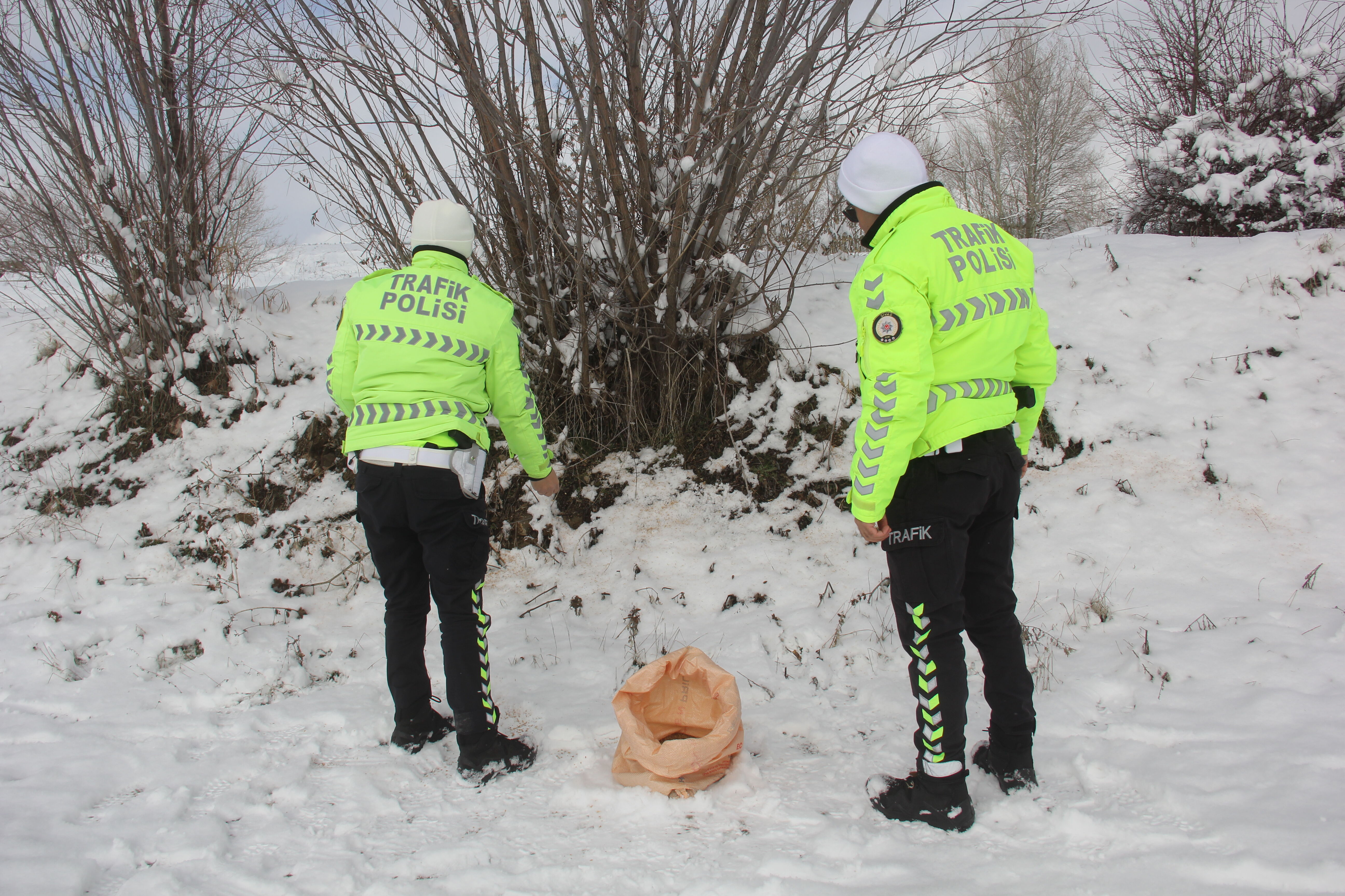 Sivas'ta trafik polisleri yaban hayvanlarını unutmadı