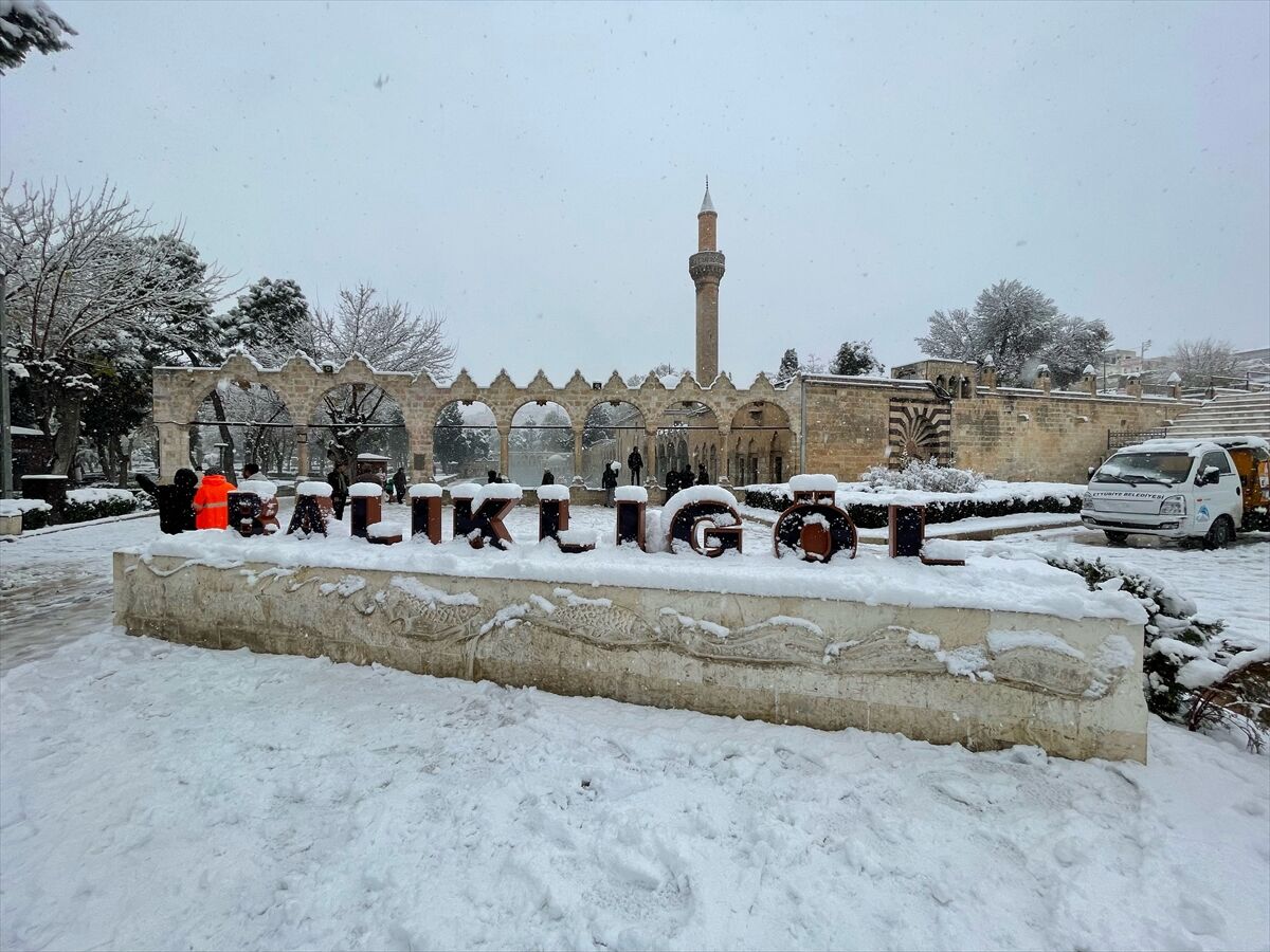 Şanlıurfa'daki tarihi Balıklıgöl beyaza büründü