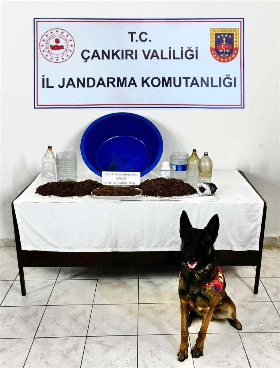 Çankırı'da düzenlenen uyuşturucu operasyonunda yabancı uyruklu 12 zanlı yakalandı