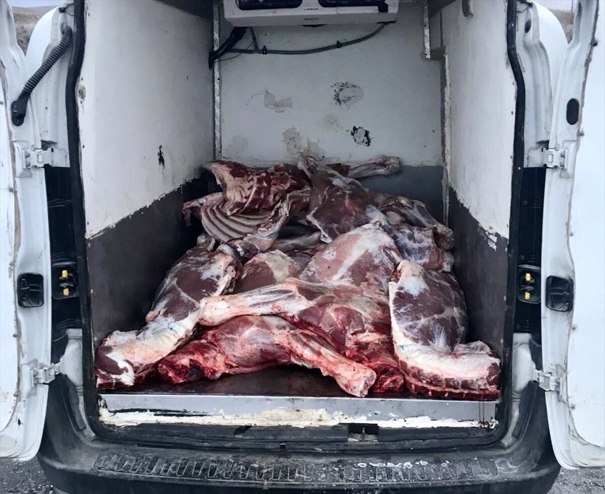 Kırşehir'de 6,1 ton kaçak ve bozulmuş hayvansal ürün ele geçirildi