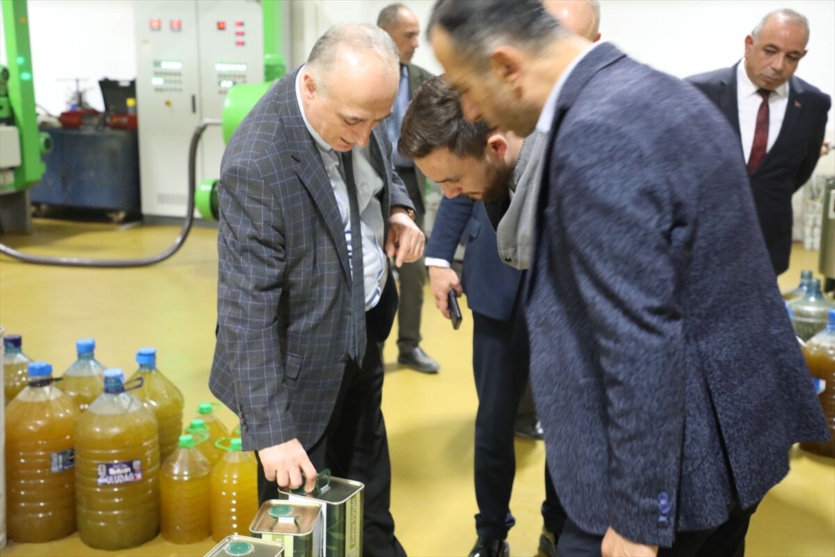 Sarıcakaya'da zeytin ve zeytinyağı üretimi artıyor