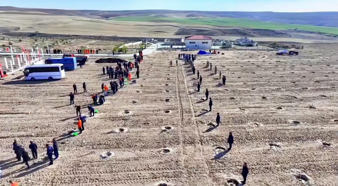 Kırşehir'de cezaevi yerleşkelerinde 5 bin 500 fidan toprakla buluşturuldu