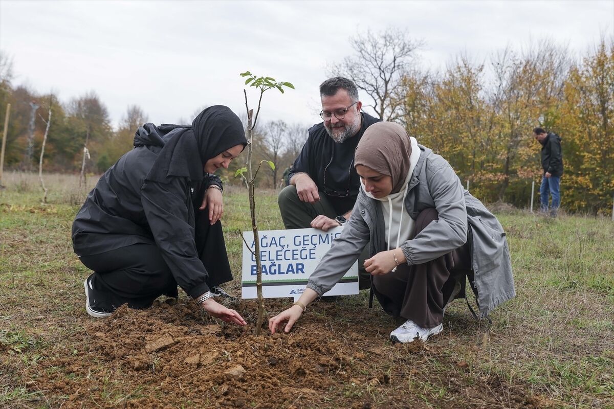 Katılım Emeklilik 10 bin fidanı toprakla buluşturdu