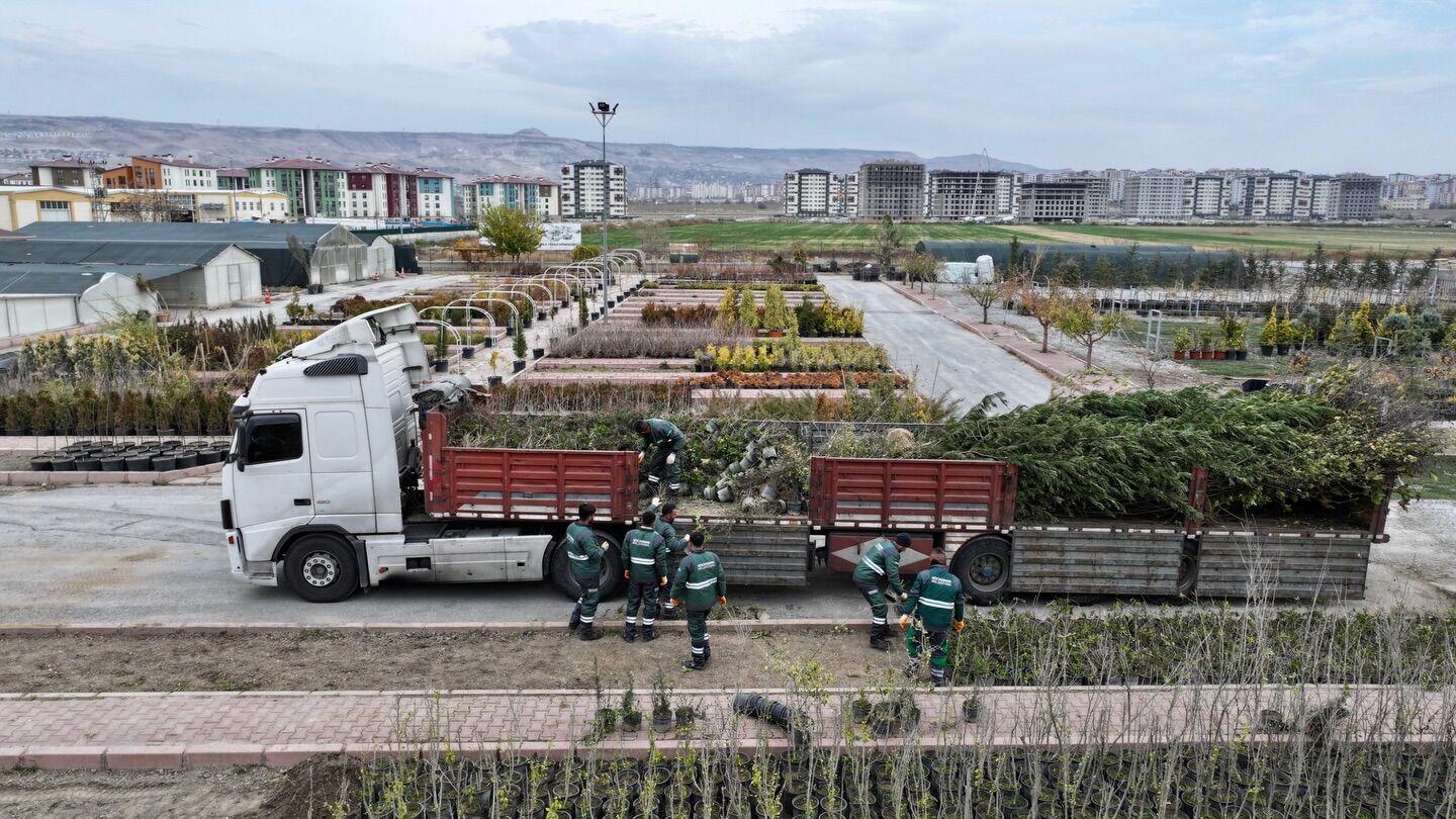 Başkan Çolakbayrakdar, fidanlığa yeni gelen fidan ve ağaçları inceledi