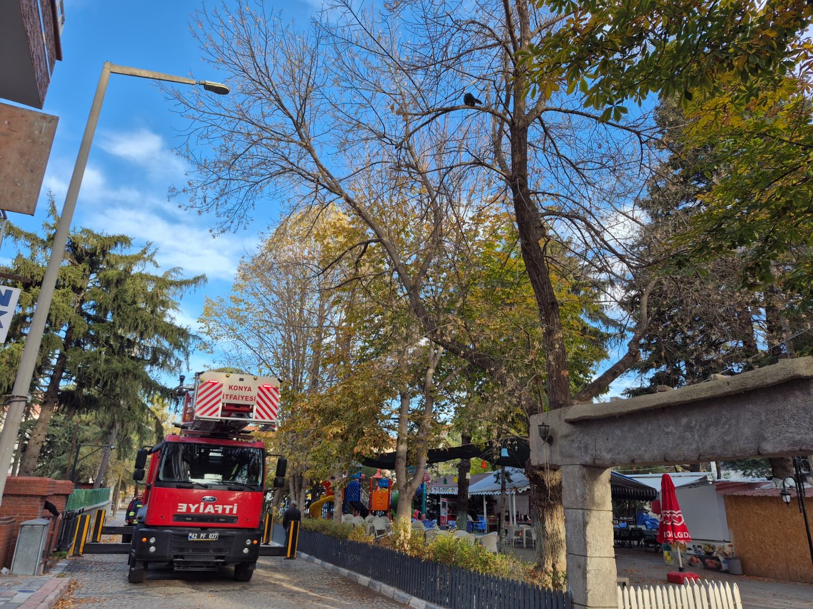 Konya'da ağaçta mahsur kalan kediyi itfaiye ekipleri kurtardı