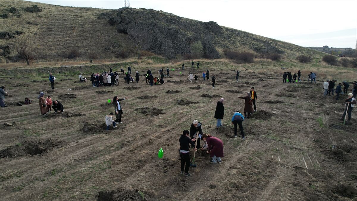 Çubuk'ta fidan dikim etkinliği yapıldı