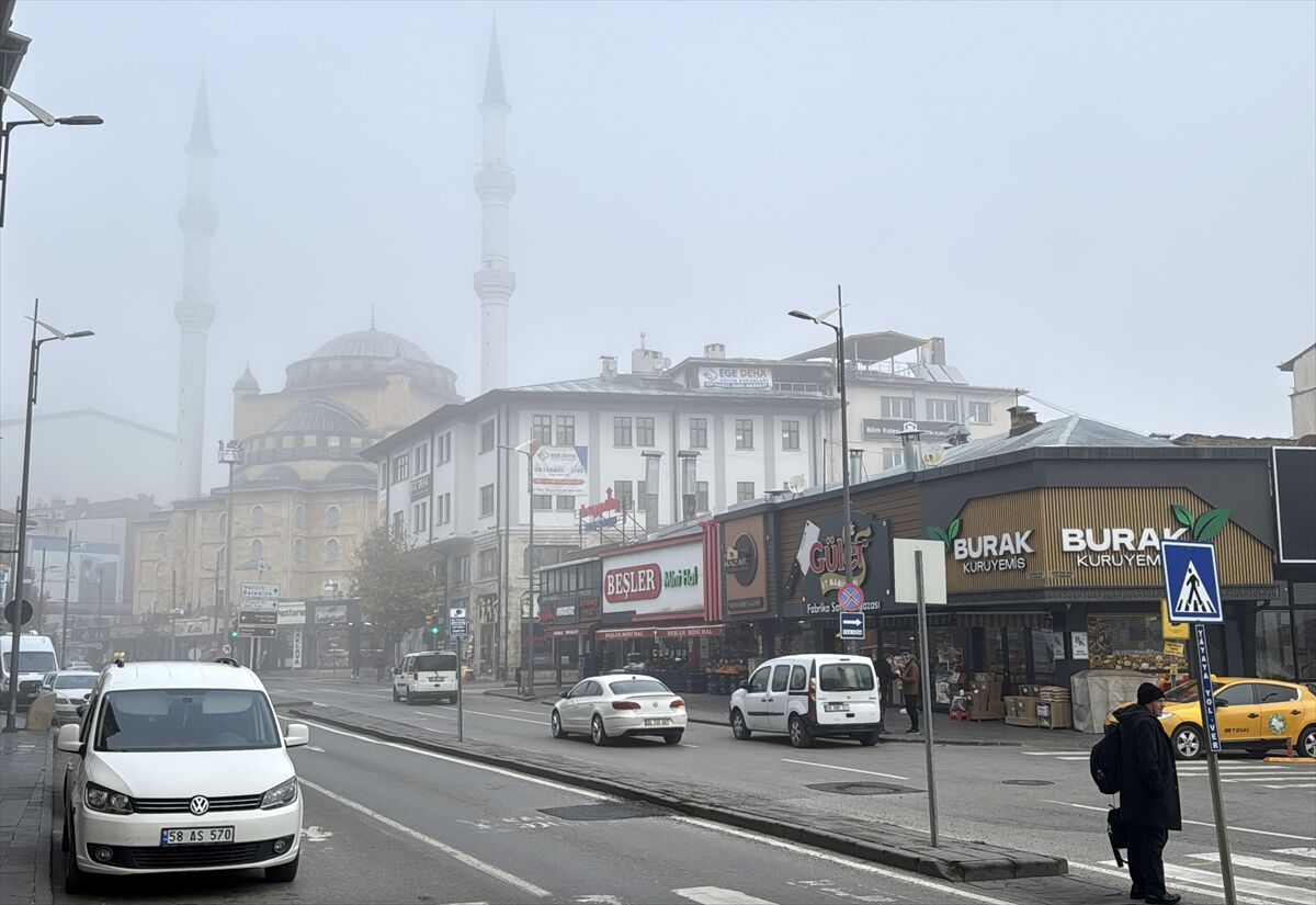 Sivas'ta sis etkili oldu