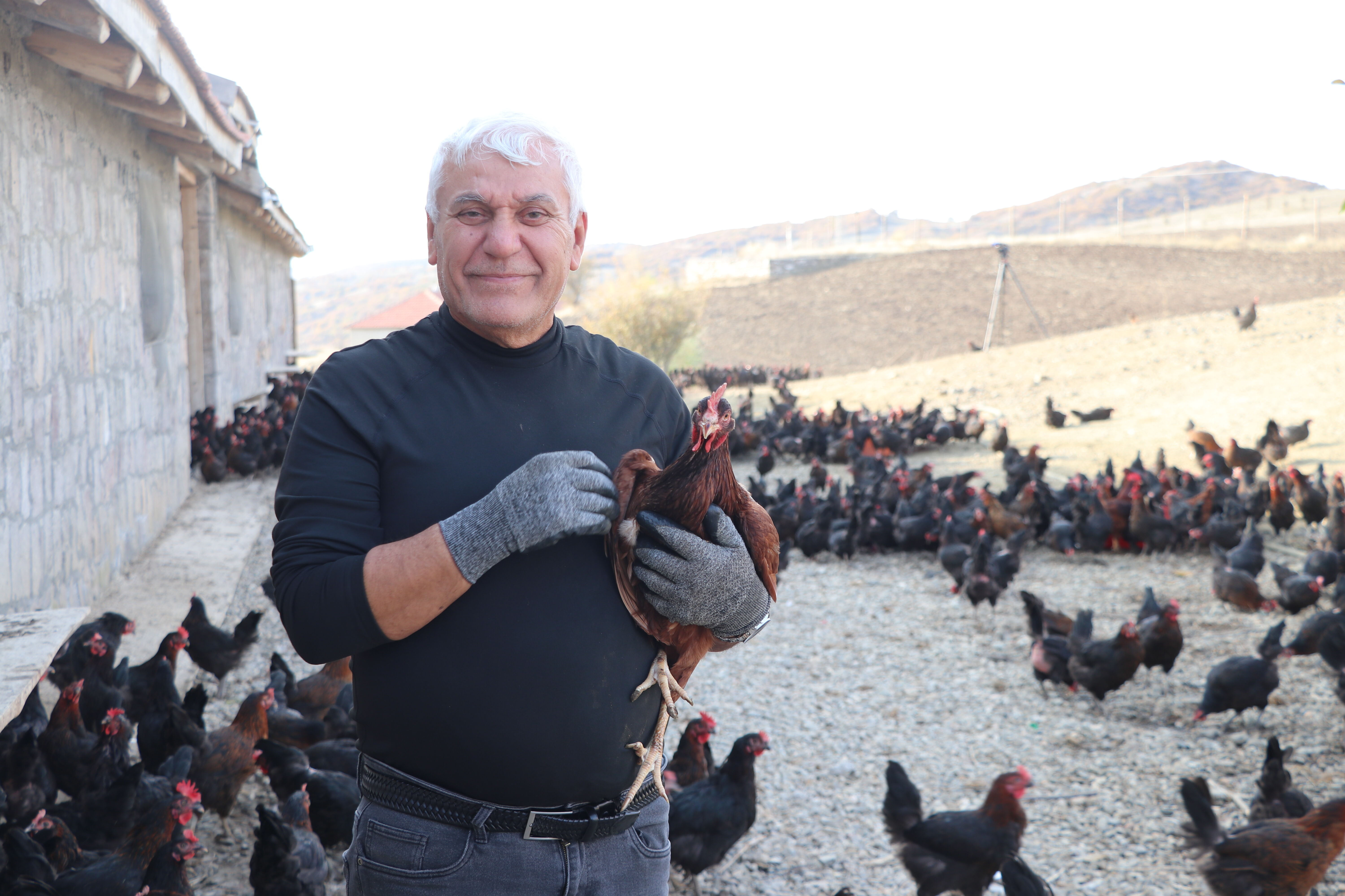 Çocukluk hayalini gerçekleştirmek için memleketine tavuk çiftliği kurdu