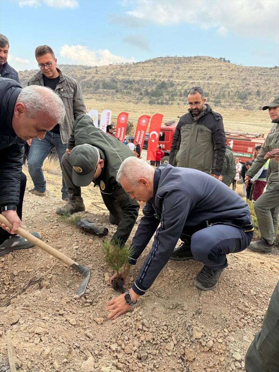 Karaman'da şehitler için fidan dikildi
