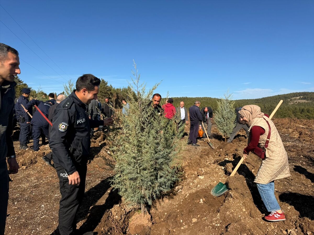 Atkaracalar'da Milli Ağaçlandırma Günü kapsamında fidan dikimi yapıldı