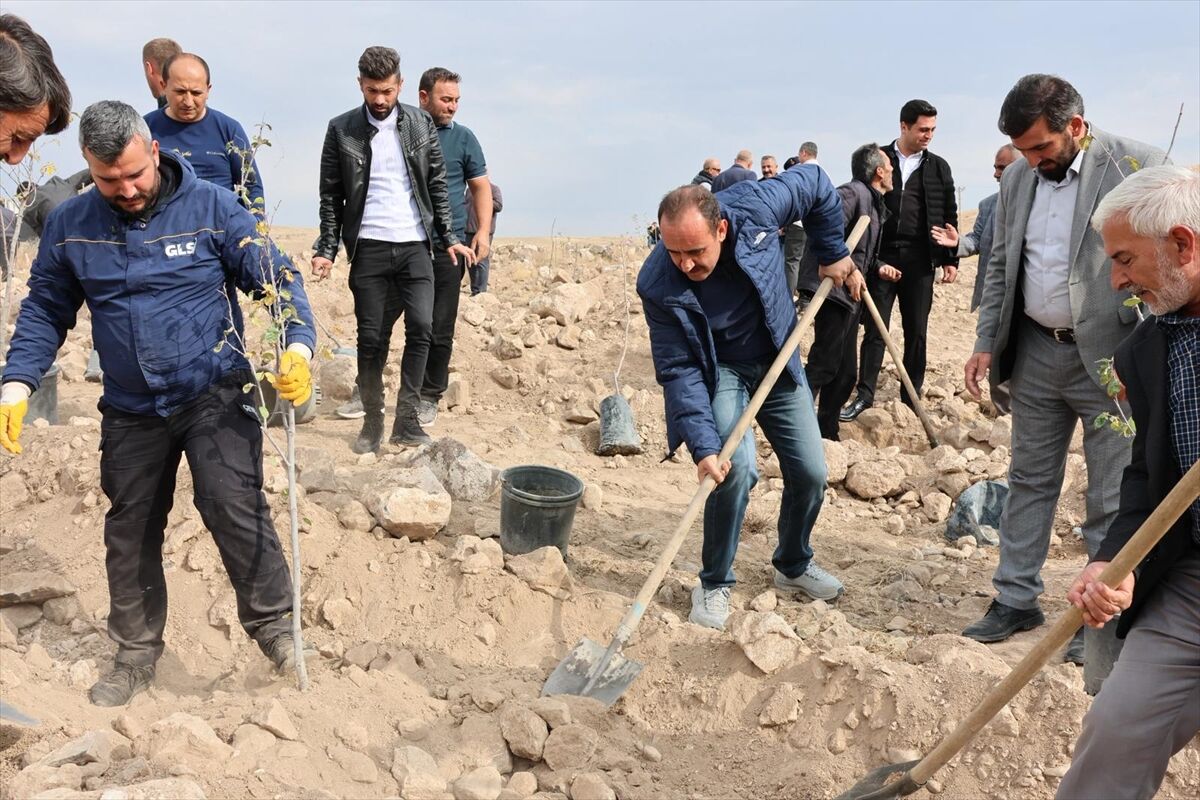 İncesu'da '11 Kasım Milli Ağaçlandırma Günü'nde fidanlar toprakla buluşturuldu