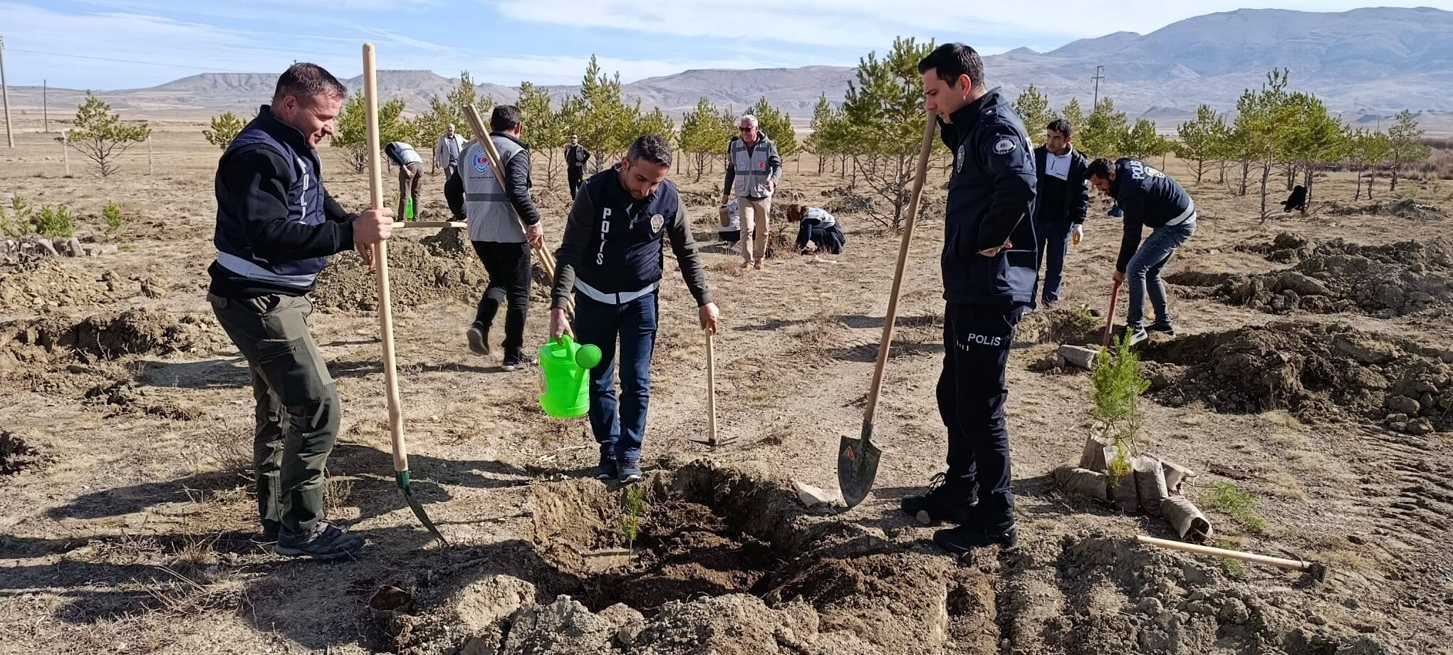 Ulaş ve Gemerek'te Milli Ağaçlandırma Günü'nde fidanlar toprakla buluşturuldu
