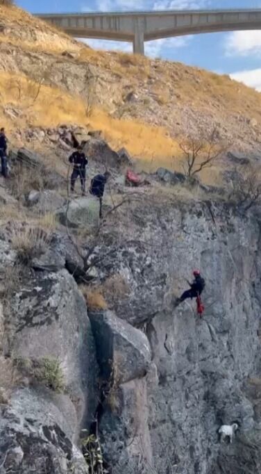 Kayseri'de uçurumda mahsur kalan keçiyi itfaiye ekipleri kurtardı
