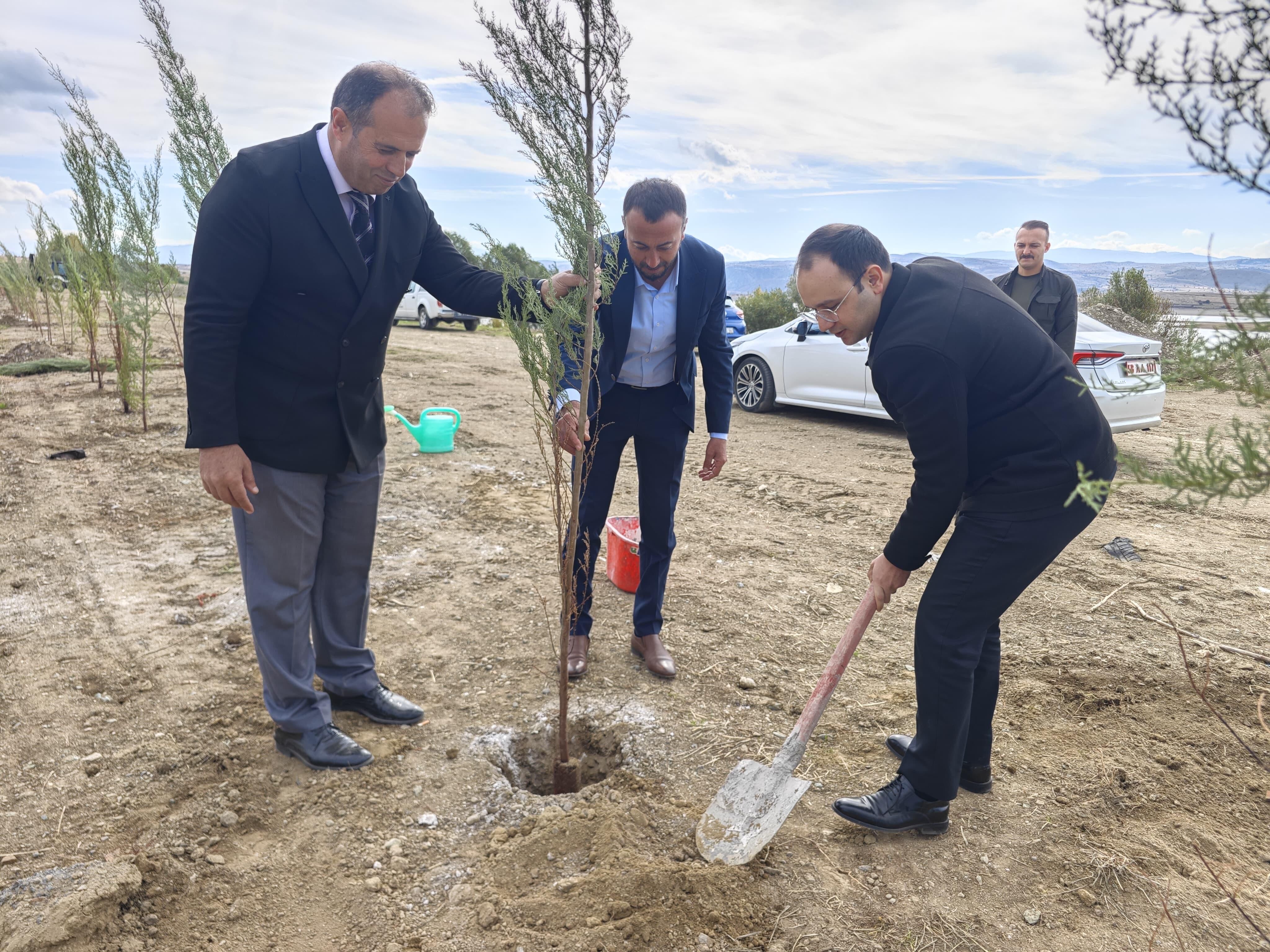 Gölova'da yürüyüş yolu yapılıyor