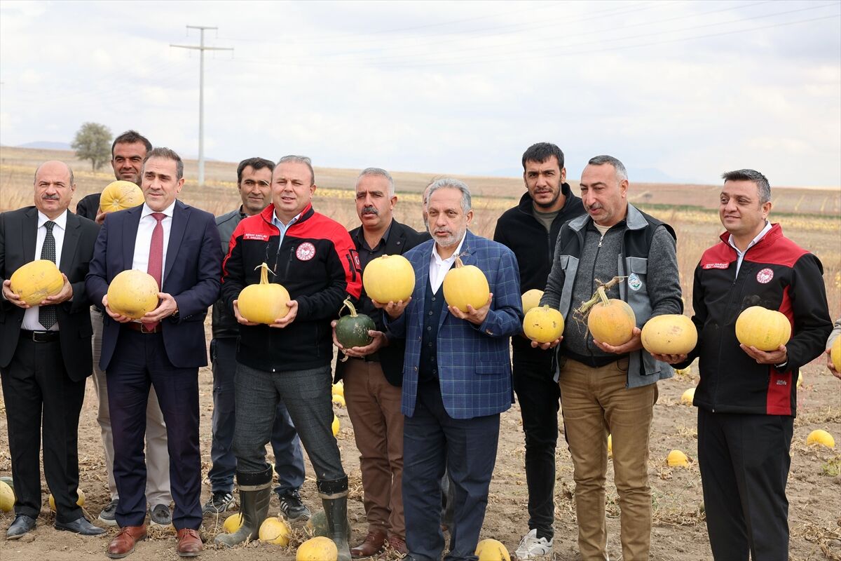 Başkan Yalçın, kabak hasadına katıldı