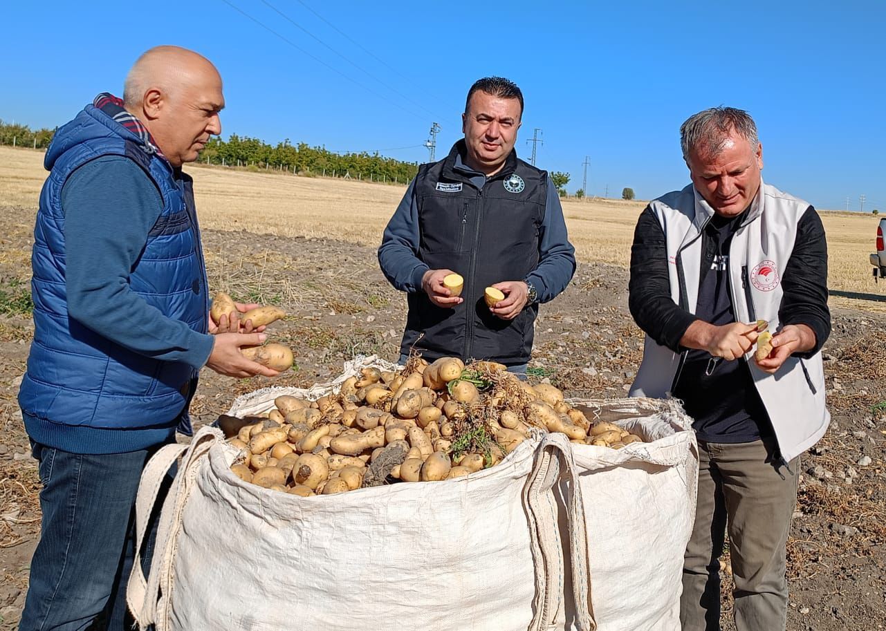 Beyşehir'de patates hasadı başladı
