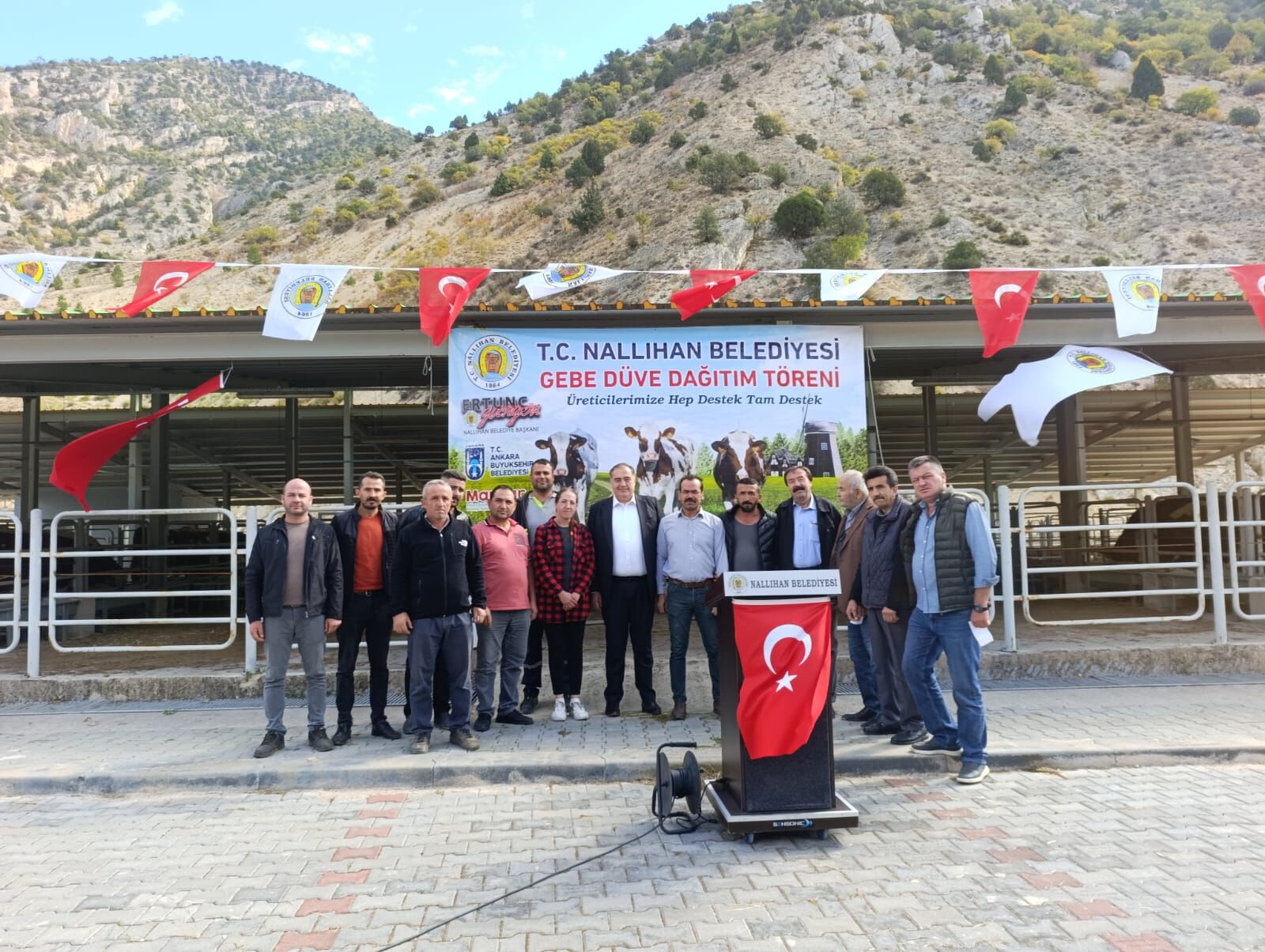 Nallıhan Belediyesi çiftçilere gebe düve desteği verdi