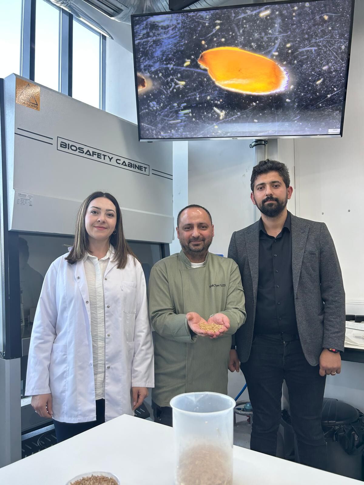 Sivas'ta yetiştirilen zeron buğdayından organik bulgur üretildi