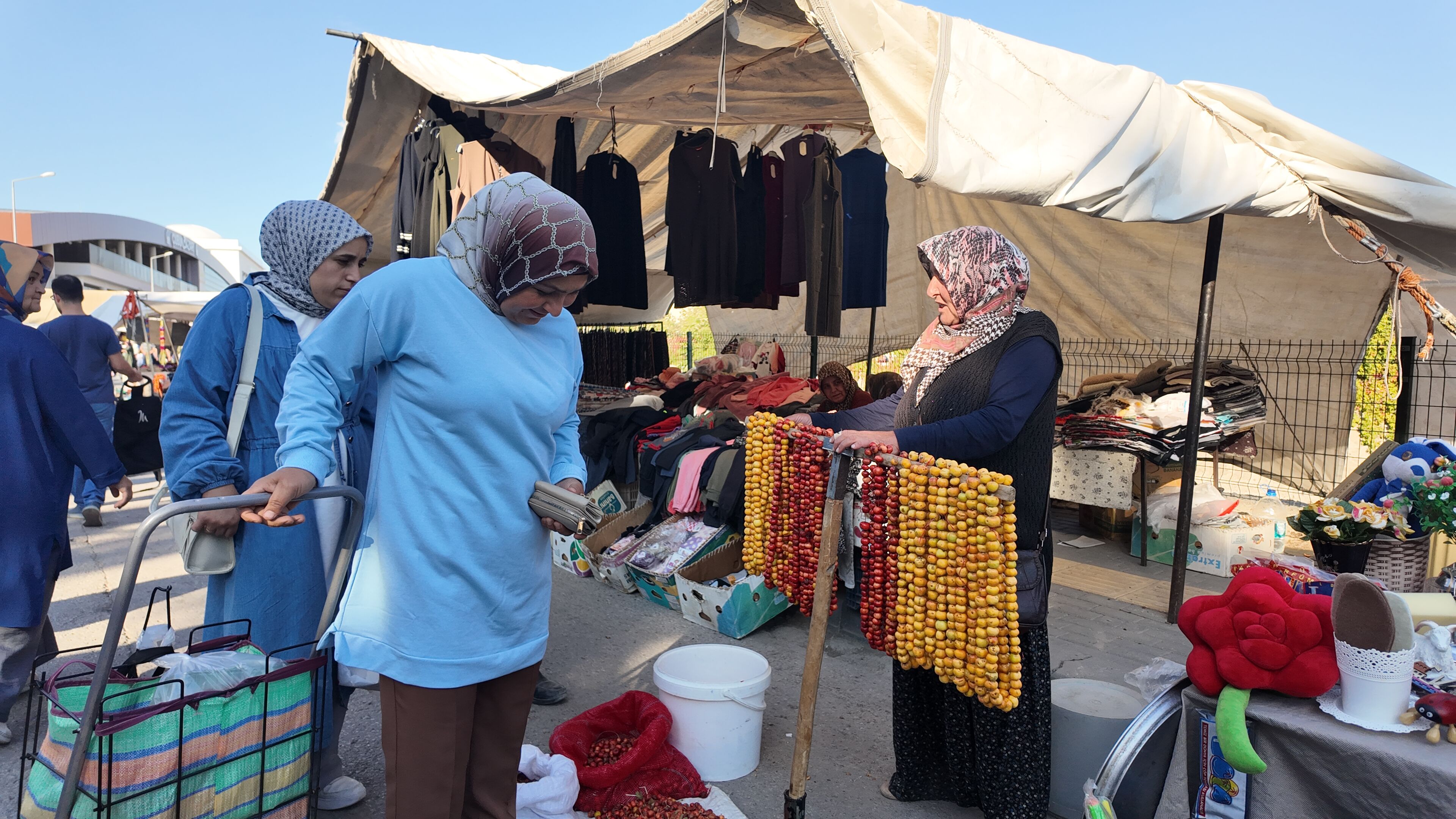 Çubuk'ta alıç ve kuşburnu pazarda yerini aldı