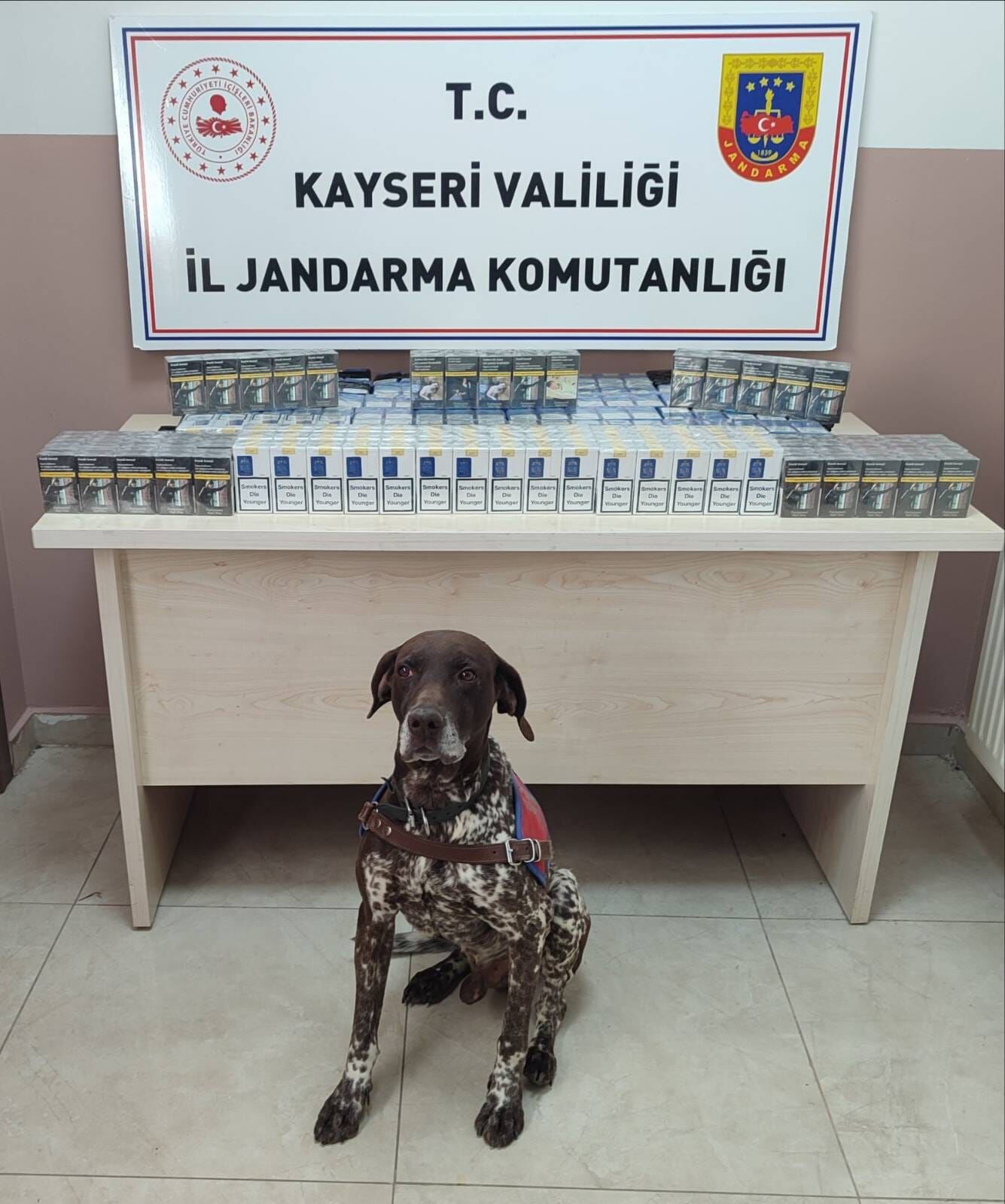 Kayseri'de 640 paket kaçak sigara ele geçirildi