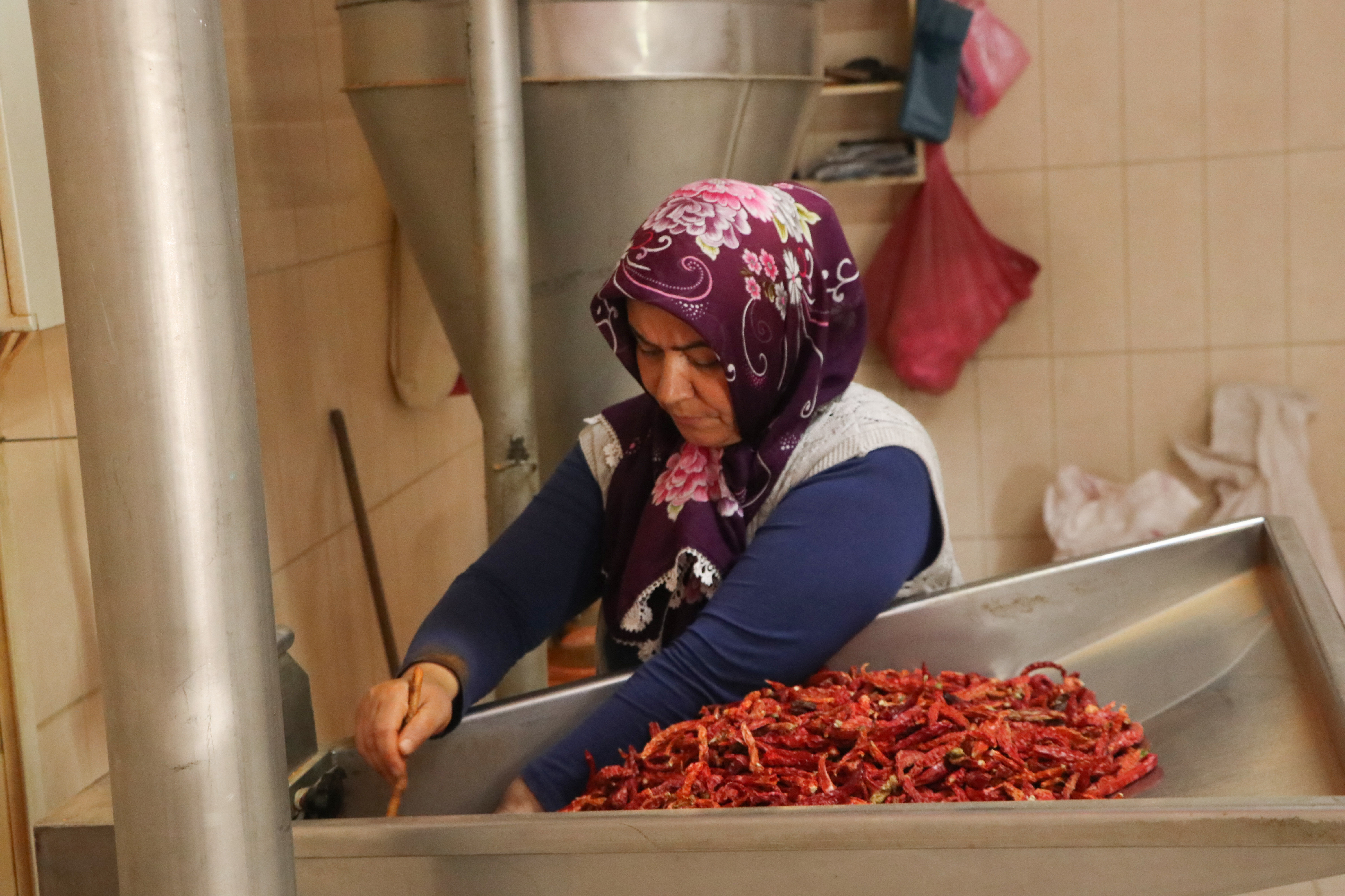 Kayseri'nin damlarında kuruyan Cırgalan biberi sofralara lezzet katıyor