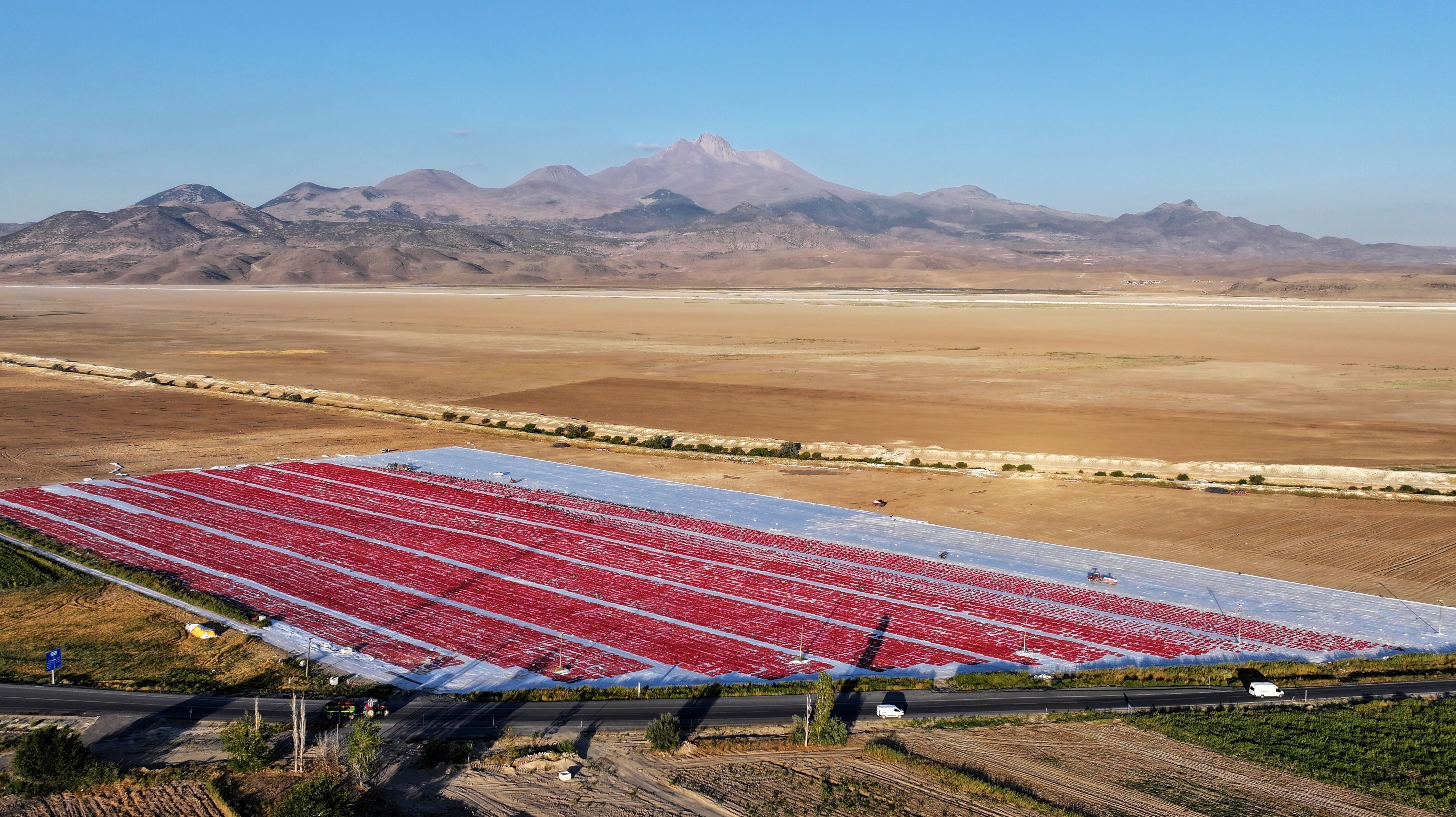 Erciyes eteklerindeki devasa araziler domates kırmızısıyla renklendi