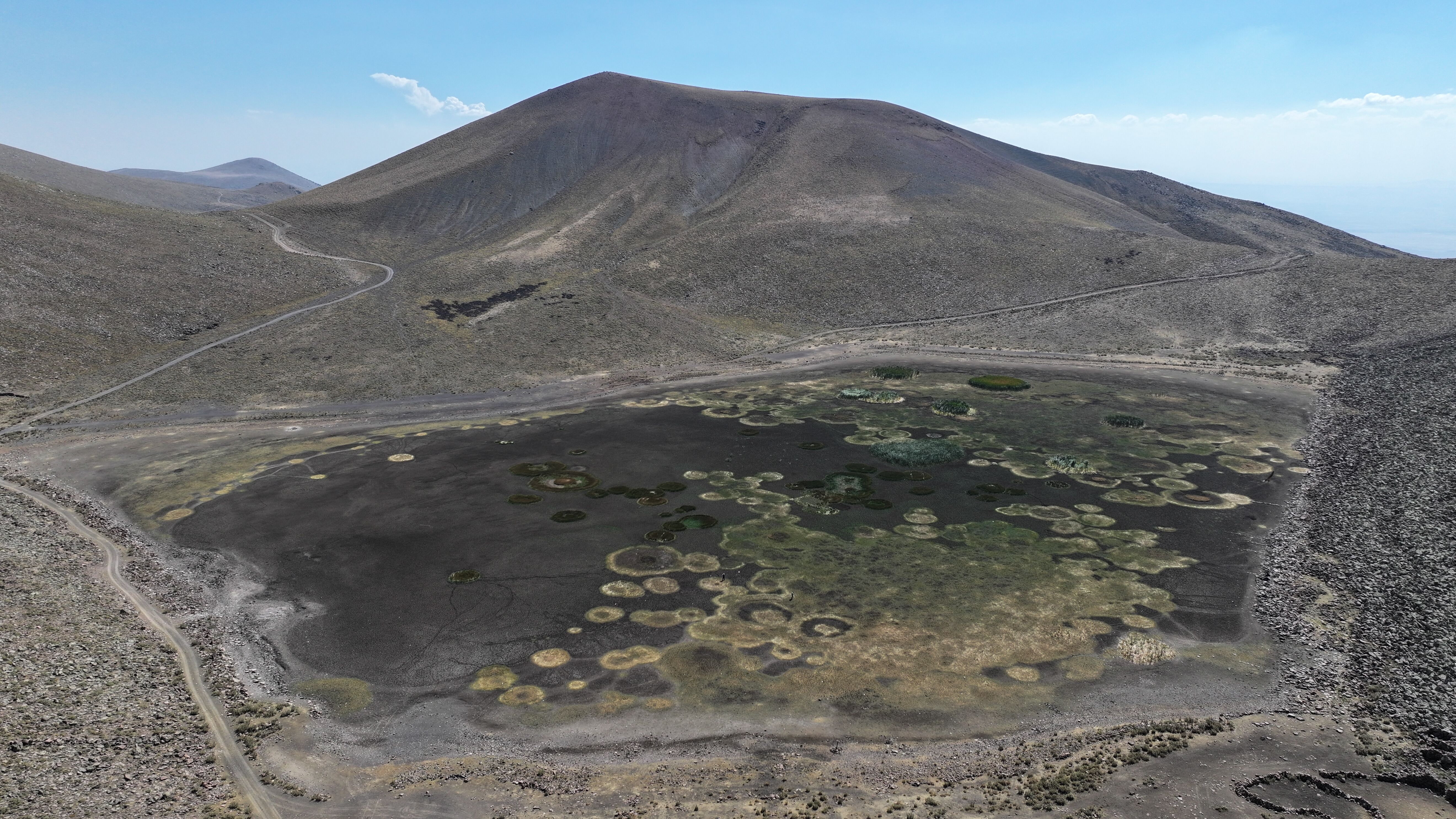 Erciyes'in eteklerinde yılkı atları, kuşlar ve koyunlara hayat veren Sarıgöl kurudu
