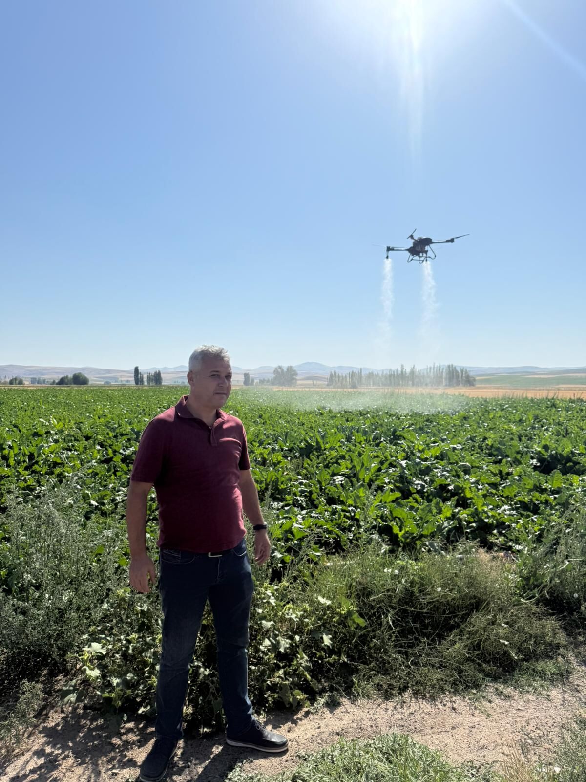 Gemerek'te şeker pancarı ekili alanlarda dronla ilaçlama yapıldı