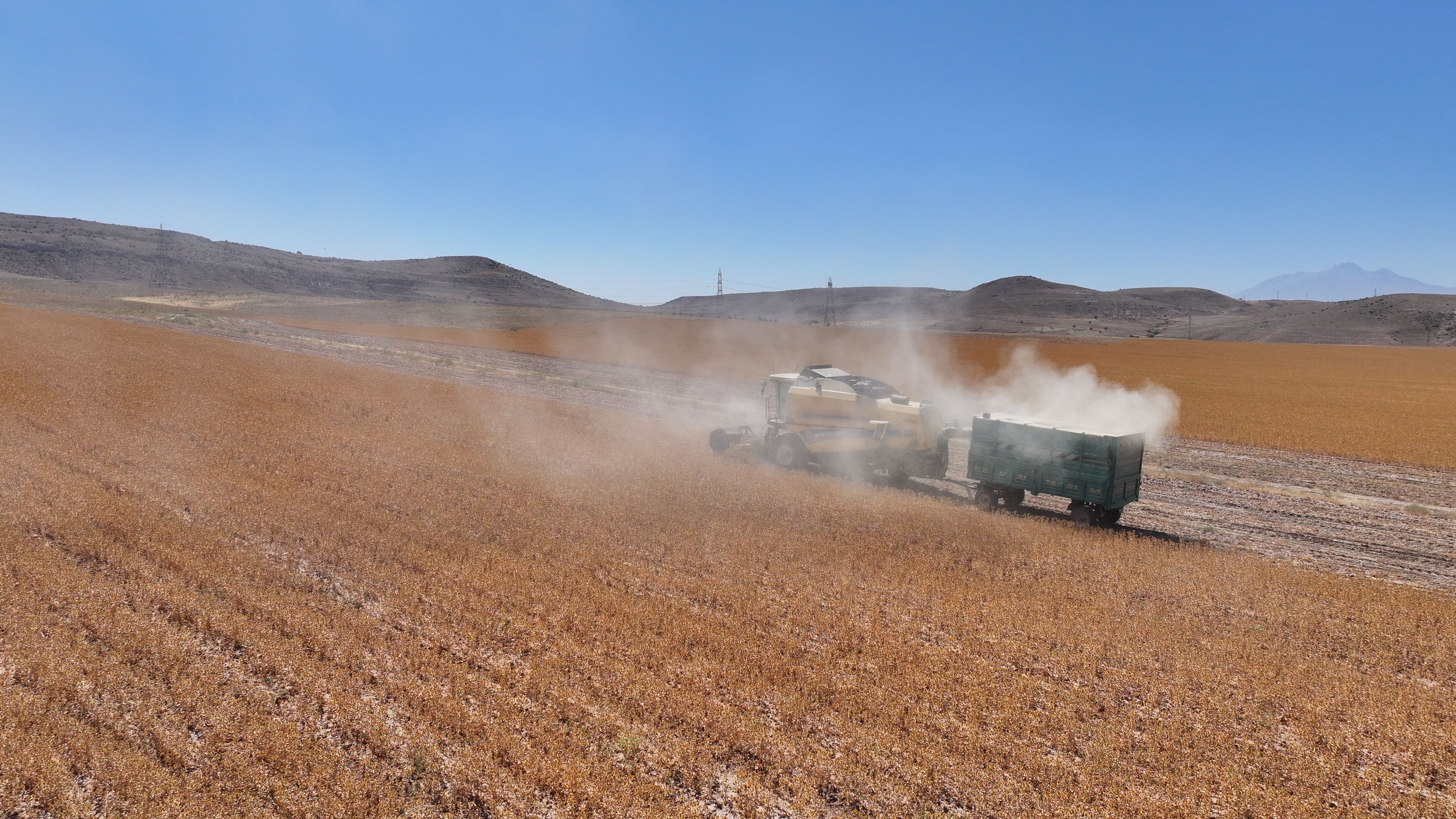 Türkiye'de aspir üretiminde ilk sırada yer alan Kayseri'de hasat mesaisi başladı