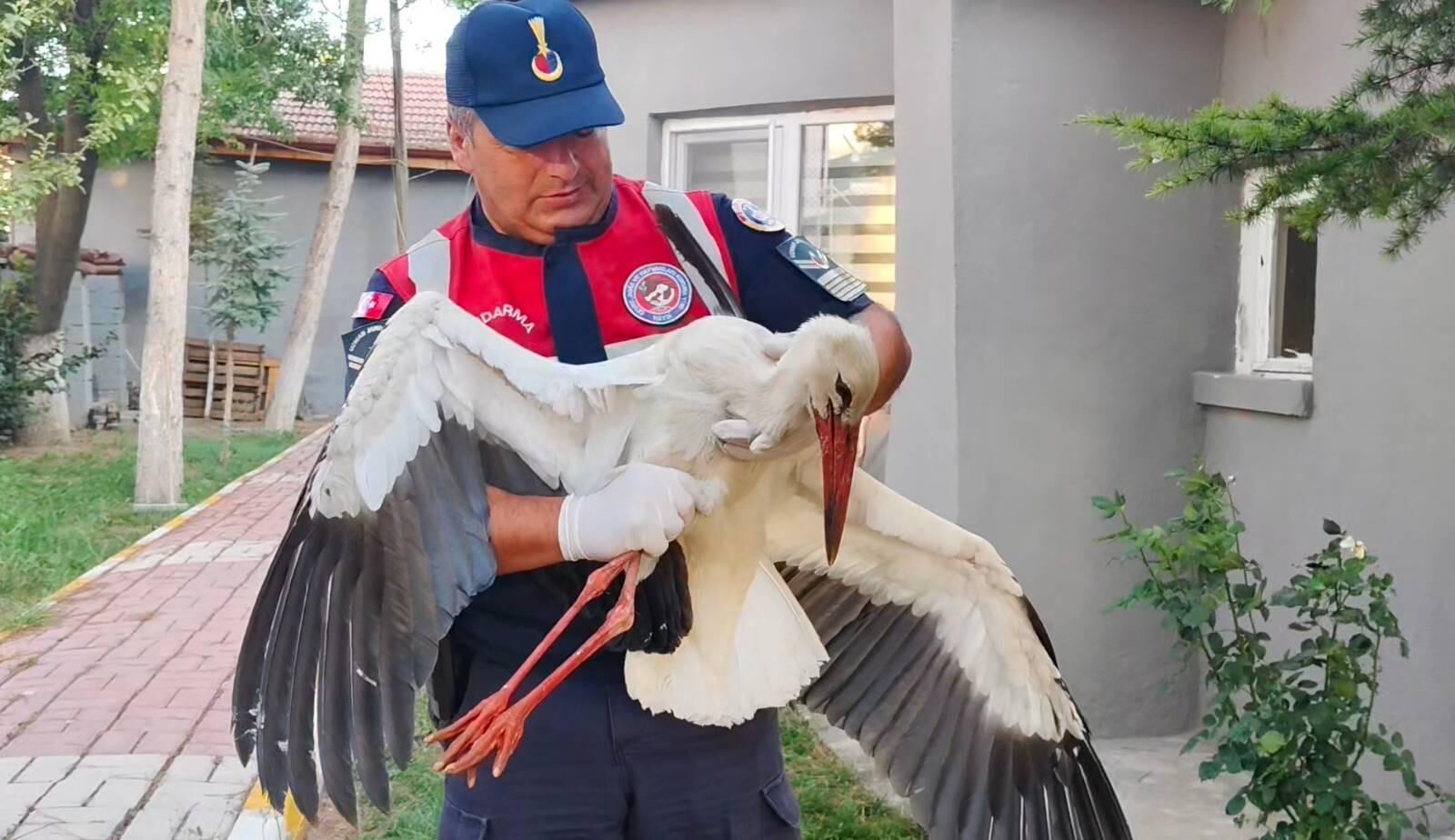 Yozgat'ta yaralı halde bulunan leylek tedaviye alındı