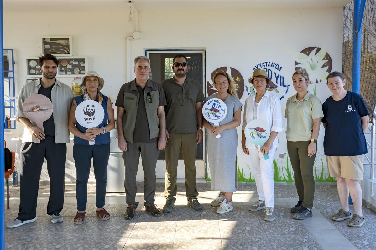 Adana Akyatan'da 20 yılda 270 bin kaplumbağa yavrusu denize ulaştı